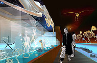 Mus&eacute;e permanent