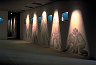 Mus&eacute;e permanent